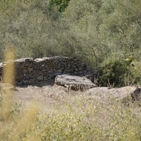 Photo de Turquie - La région de Didim